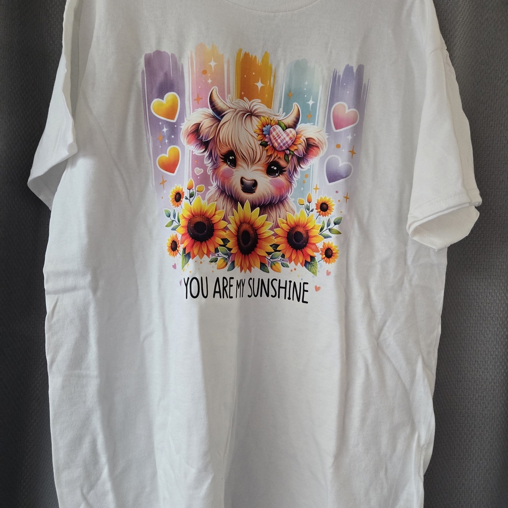 Women's White 'You Are My Sunshine' Graphic Tee